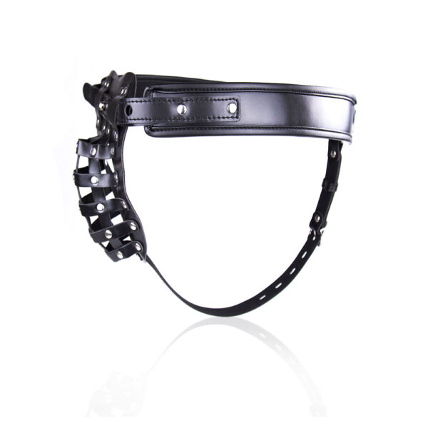 11797-penis-and-testicles-lockdown-chastity-belt-thong-m-xl-ek322402082-sexshop-ayia-napa 11797-penis-and-testicles-lockdown-chastity-belt-thong-m-xl-ek322402082-sexshop-ayia-napa
