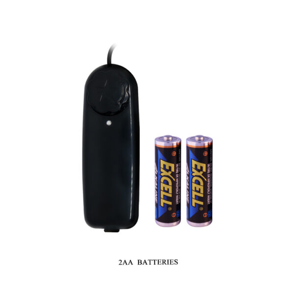 21061-BM-009150_08 21061-BM-009150_08