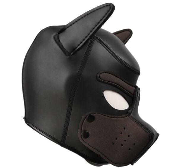 23653-312201047-5 23653-312201047-5