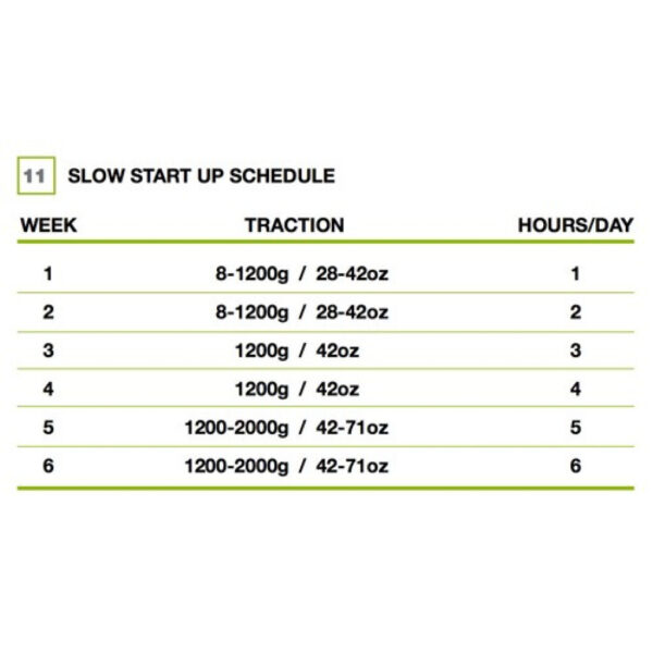 2409-male-edge-basic-kit-penis-extender-cyprus-love-shop 2409-male-edge-basic-kit-penis-extender-cyprus-love-shop