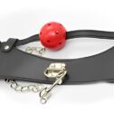 24499-naughty-toys-posture_collar-and-ball-gag-3