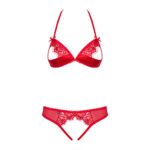 25699-obsessive-870-sec-3-bra-and-crotchless-string-set-red-ekobsessive-870-sexshopcyprus