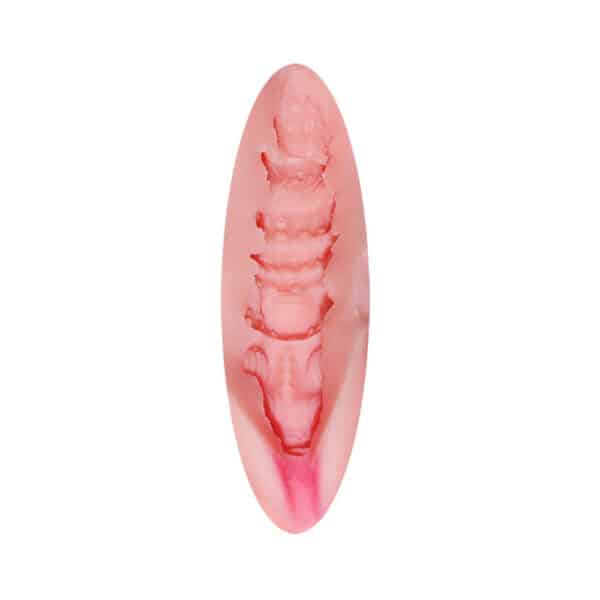 21907-Toyboy-HERAs-Realistic-Play-Pussy-Masturbator-15-5-Cm-3103090905556-Limassol-sexshop 21907-Toyboy-HERAs-Realistic-Play-Pussy-Masturbator-15-5-Cm-3103090905556-Limassol-sexshop