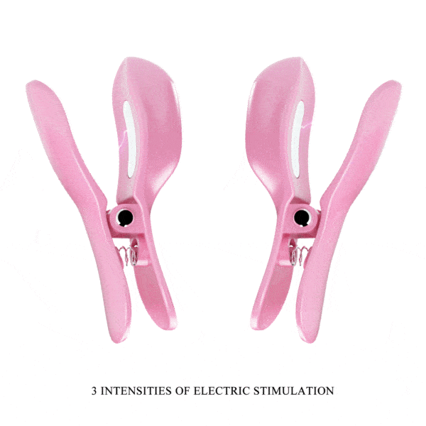 26019-BI-300034_04 26019-BI-300034_04