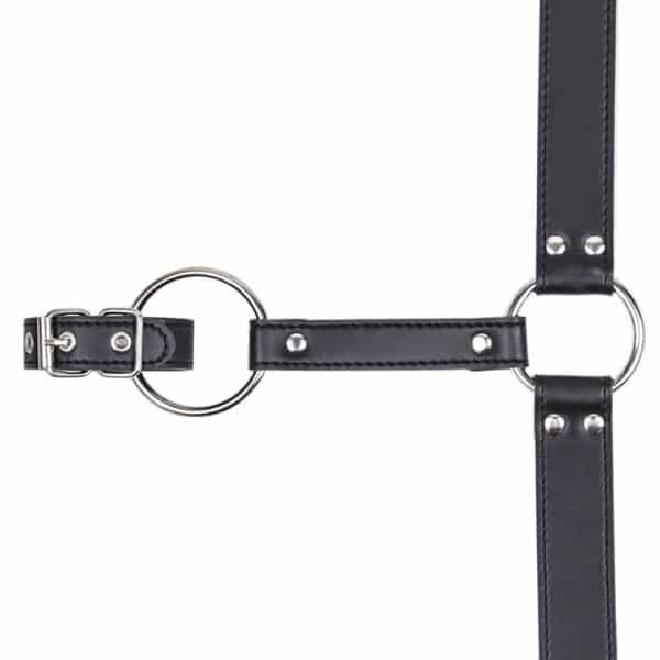 26748-bondage-male-chastity-leather-pants-with-penis-ring-sex-shop-Nicosia 26748-bondage-male-chastity-leather-pants-with-penis-ring-sex-shop-Nicosia