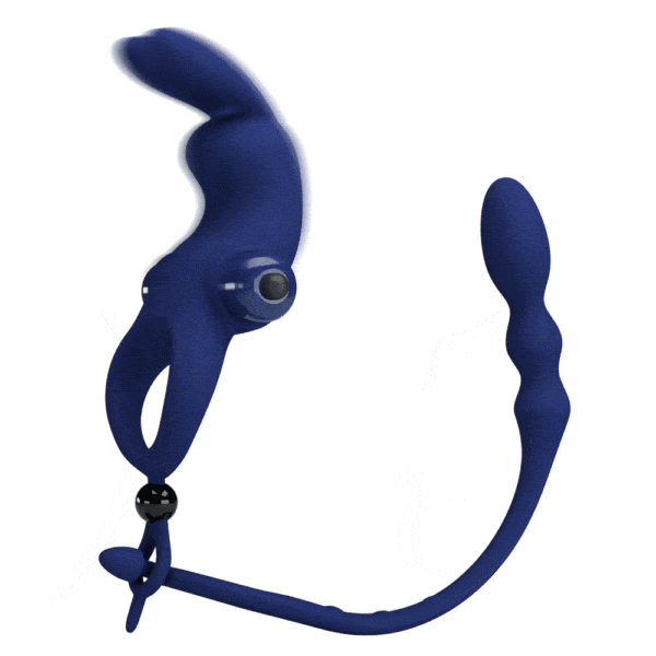 BI-210213-3-pretty-love-ayad-vibrating-cock-ring-with-anal-plug-attachment