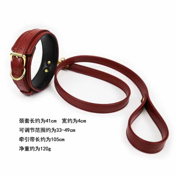 NAUGHTY-TOYS-fetish-Wine-RED-leather-collar-with-leash-Limassol-sex-shop.jpg-2 NAUGHTY-TOYS-fetish-Wine-RED-leather-collar-with-leash-Limassol-sex-shop.jpg-2