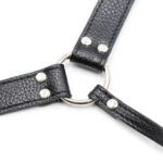 11639-naughty-girls-triple-dildo-strap-on-sex-harness-sexshop-Yermasoyia