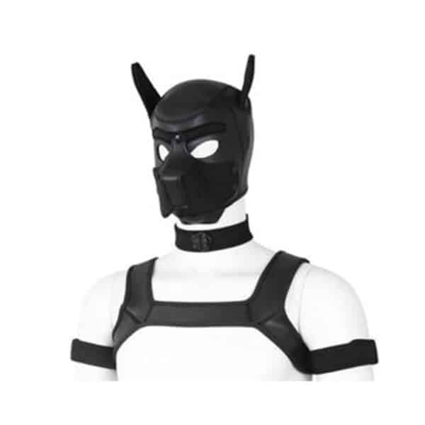 11691-black-neoprene-bondage-puppy-collar-o-s-Limassol-sex-shop 11691-black-neoprene-bondage-puppy-collar-o-s-Limassol-sex-shop