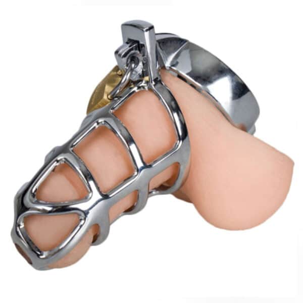 11793-gladiators-steel-cock-cage-with-locker-l-sexshop-Omonias 11793-gladiators-steel-cock-cage-with-locker-l-sexshop-Omonias