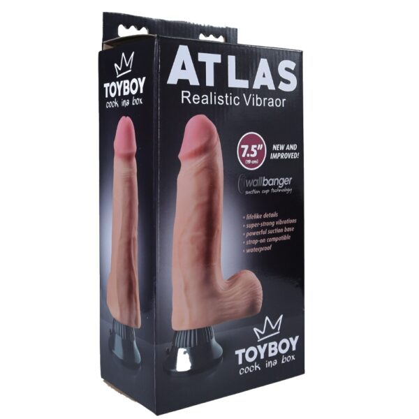 22323-toyboy-atlas-realistic-suction-dildo-vibrator-19-cm-Limassol-Love-Shop