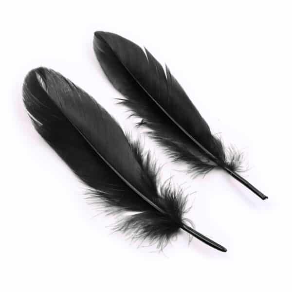 11787-toybox-naughty-touch-beginners-set-black-sex-shop-lefkosia 11787-toybox-naughty-touch-beginners-set-black-sex-shop-lefkosia