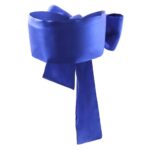 17853-mystery-blue-shiny-silky-blindfold-with-a-feather-tickler-set-sexshop-Omonias