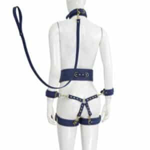 23725-premium-fetish-collection-complete-6-piece-set-tibet-blue-gold-Paphos-sexshop