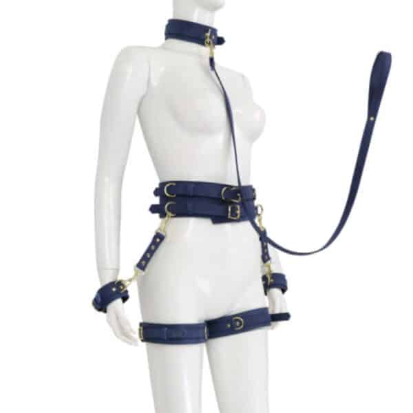 23725-premium-fetish-collection-complete-6-piece-set-tibet-blue-gold-sexshop-Omonias
