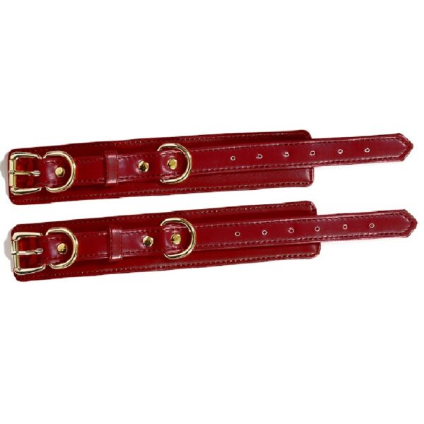 23727-premium-fetish-collection-complete-6-piece-set-wine-red-gold-Pafos-sex-shop 23727-premium-fetish-collection-complete-6-piece-set-wine-red-gold-Pafos-sex-shop