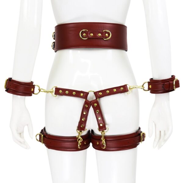 23727-premium-fetish-collection-complete-6-piece-set-wine-red-gold-sexshop-Pafos