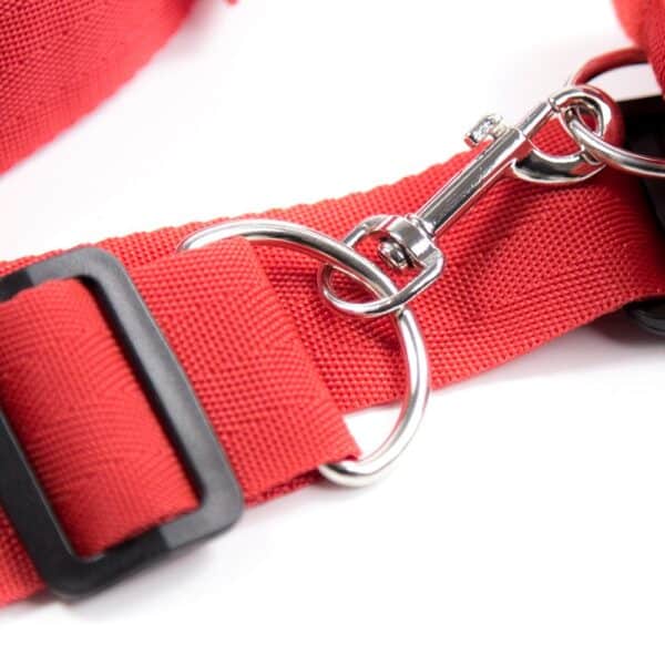 23823-toybox-pillow-talk-under-bed-restraint-set-red-sex-shop-Paphos 23823-toybox-pillow-talk-under-bed-restraint-set-red-sex-shop-Paphos