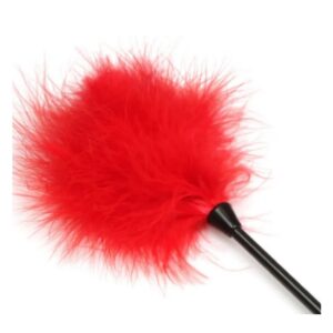 33946-Naughty_Toys_Feather_Tickler_for_Couples_LoveShopCy