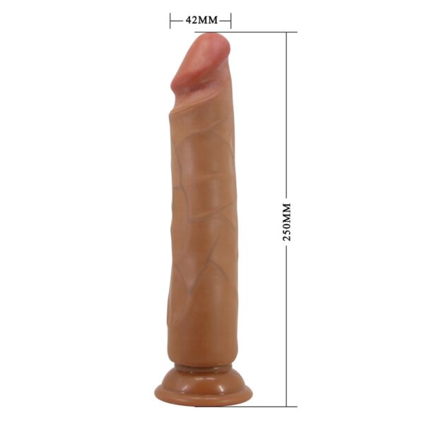 26899-Baile-Alcmene-realistic-dildo-suction-BW-007018GC-1-Sex-Shop-Christaki-Kranou 26899-Baile-Alcmene-realistic-dildo-suction-BW-007018GC-1-Sex-Shop-Christaki-Kranou