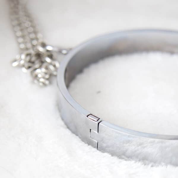 120743-naughty-toys-steel-collar-with-nipple-clamps-for-her-fetish-play 120743-naughty-toys-steel-collar-with-nipple-clamps-for-her-fetish-play