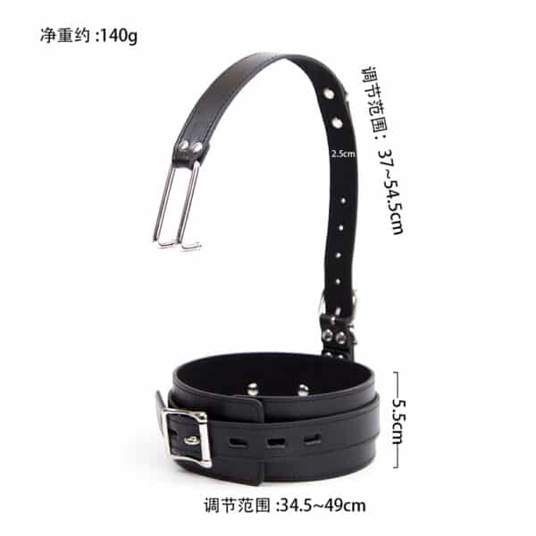 25429-262402077-1 25429-262402077-1