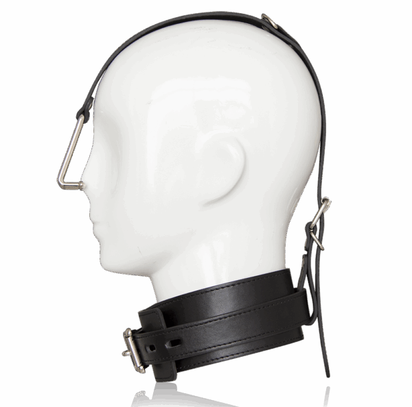 25429-262402077-10 25429-262402077-10