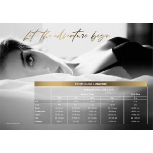 14217-penthouse-sweet_spicy-chemise-red-lxl-loveshop 14217-penthouse-sweet_spicy-chemise-red-lxl-loveshop