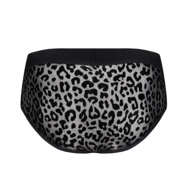 17533-obsessive-azmeron-briefs-with-leopard-motifs-sexshop-Larnaca 17533-obsessive-azmeron-briefs-with-leopard-motifs-sexshop-Larnaca
