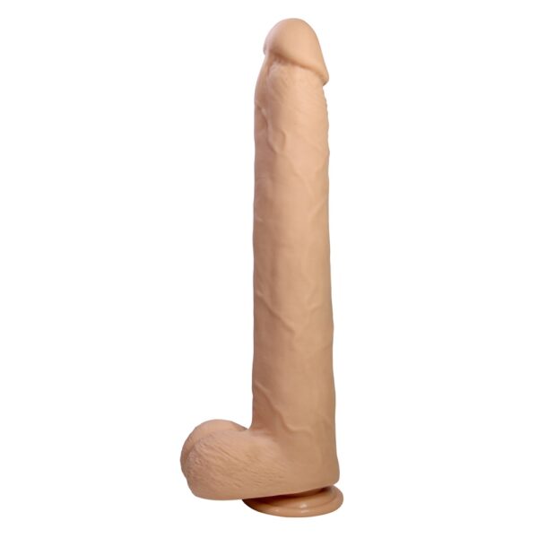 BW-008162-pretty-love-danny-long-realistic-suctioned-dildo-with-strong-suction-cup-base BW-008162-pretty-love-danny-long-realistic-suctioned-dildo-with-strong-suction-cup-base