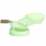 EK-XW3002-toyboy-glow-in-the-dark-willy-penis-locker-4.33-chastity-cage