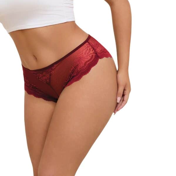 EK-P5348-2-PANTIES-METAL-HEART-BURGUNDY-lace-panties-metal-heart-burgundy-sex-shop-limassol EK-P5348-2-PANTIES-METAL-HEART-BURGUNDY-lace-panties-metal-heart-burgundy-sex-shop-limassol