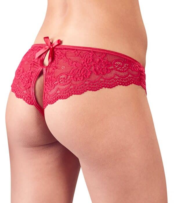 Floral-Lace-Crotchless-Briefs-94093 Floral-Lace-Crotchless-Briefs-94093