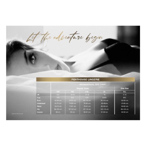 17233-penthouse-too-hot-to-be-real-knickers-wine-loveshop-cy 17233-penthouse-too-hot-to-be-real-knickers-wine-loveshop-cy