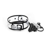 transparent-collar-and-leash-42x55cm-limassol-sexshop