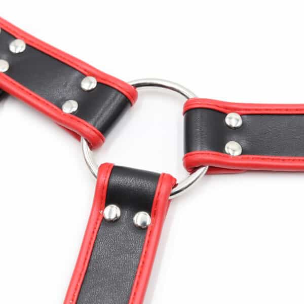 105577-black-red-leather-adjustable-chest-harness-s-xl-fetish-gay-wear-for-men 105577-black-red-leather-adjustable-chest-harness-s-xl-fetish-gay-wear-for-men