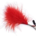 naughty-toys-nipple-clamps-with-red-feather-loveshop-cy