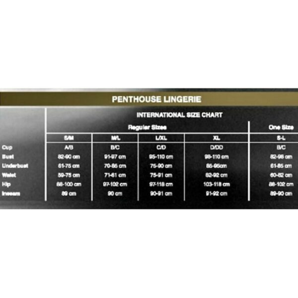 16225-penthouse-spicy-whisper-teddy-sheer-body-black-one-size-love-shop-germasogia 16225-penthouse-spicy-whisper-teddy-sheer-body-black-one-size-love-shop-germasogia