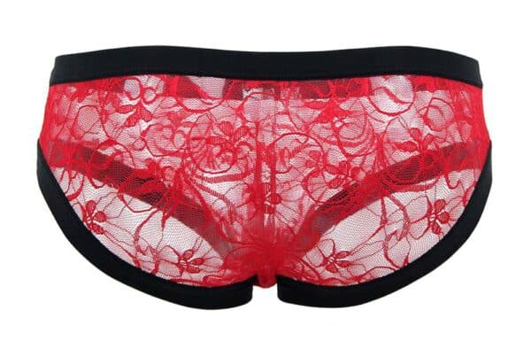 99047-Floral-Lace-Briefs-Red-limassol-sex-shop 99047-Floral-Lace-Briefs-Red-limassol-sex-shop
