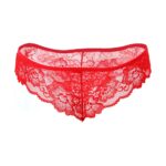 Plus-Size-Elegant-Mesh-Chemise-with-String-Red-85867