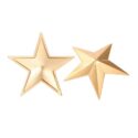 25145-metal-star-cover-nipple-gold