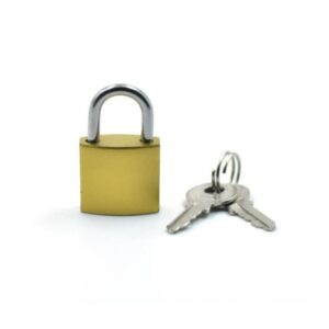 25169-copper_padlock_1