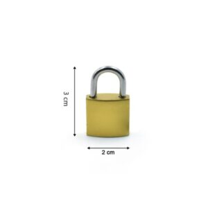 25169-copper_padlock_2