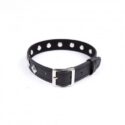 25207-NAUGHTY-TOYS-PUNK-COLLAR-2