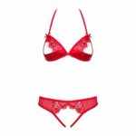 25699-obsessive-870-sec-3-bra-and-crotchless-string-set-red-ekobsessive-870-sexshopcyprus