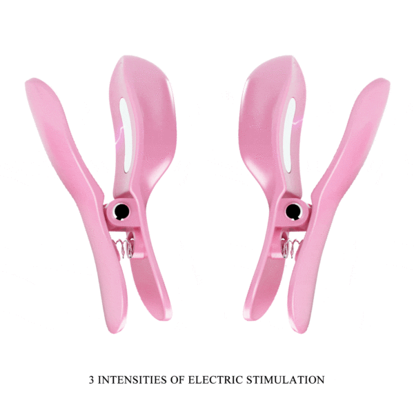 26019-BI-300034_04 26019-BI-300034_04