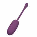 26093-pretty-love-casper-app-controlled-egg-vibrator-purple-ekbi-014654hp-1-love-boutique-limassol