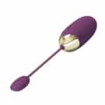 26053-BI-014362HP-1-1-Pretty-Love-ABNER-App-controlled-Egg-Vibrator-PURPLE-Larnaca-sex-shop