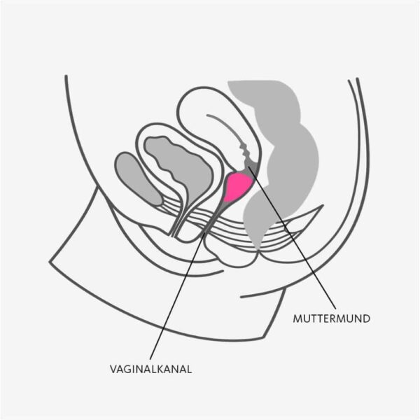 26727-fun-factory-menstrual-cup-size-a-love-shop-Cy 26727-fun-factory-menstrual-cup-size-a-love-shop-Cy