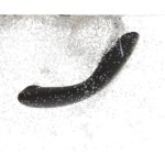17729-womanizer-og-clitoral-and-g-spot-stimulator-grey-Cyprus-Love-Shop